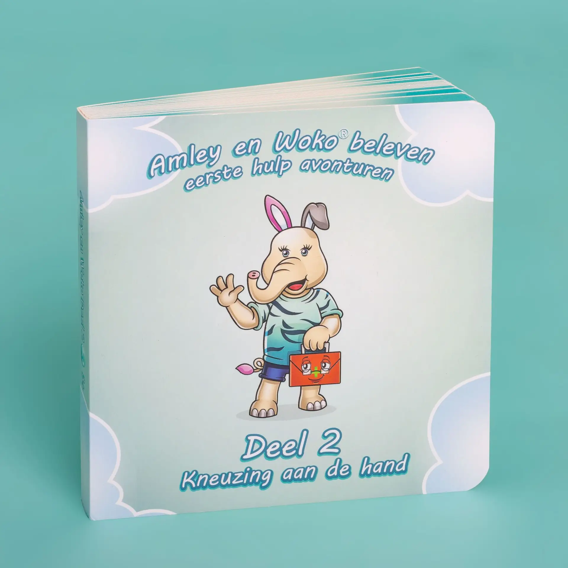 Amley en Woko – Kneuzing aan de hand: educatief EHBO-boekje waarin kinderen leren hoe ze een gekneusde hand kunnen verzorgen.